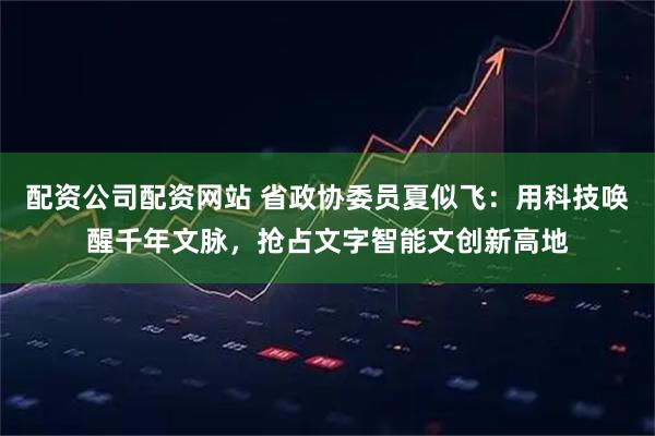配资公司配资网站 省政协委员夏似飞：用科技唤醒千年文脉，抢占文字智能文创新高地