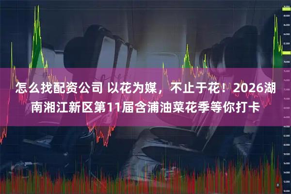 怎么找配资公司 以花为媒，不止于花！2026湖南湘江新区第11届含浦油菜花季等你打卡
